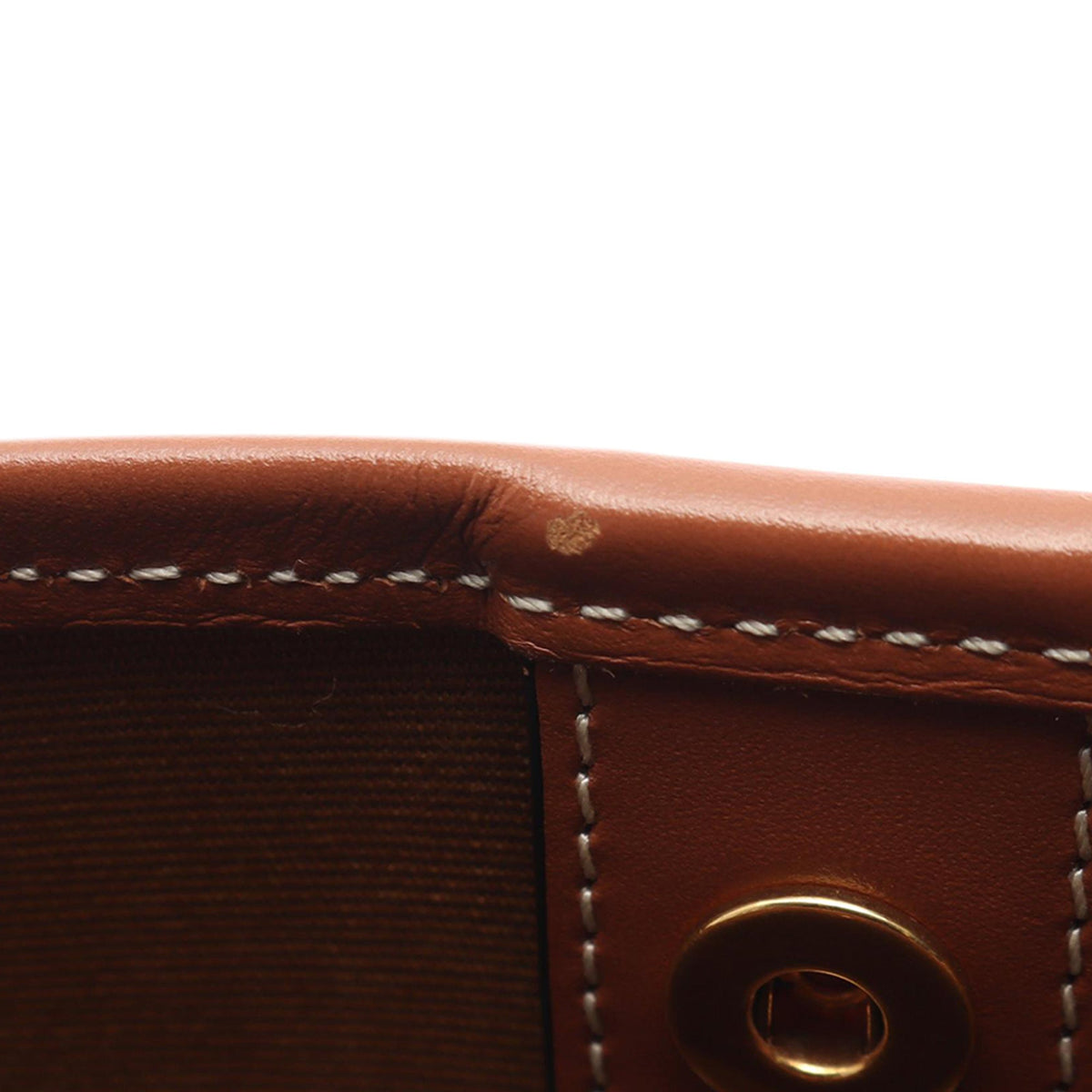 Celine Medium Triomphe Coated Canvas Bucket Bag — Brown