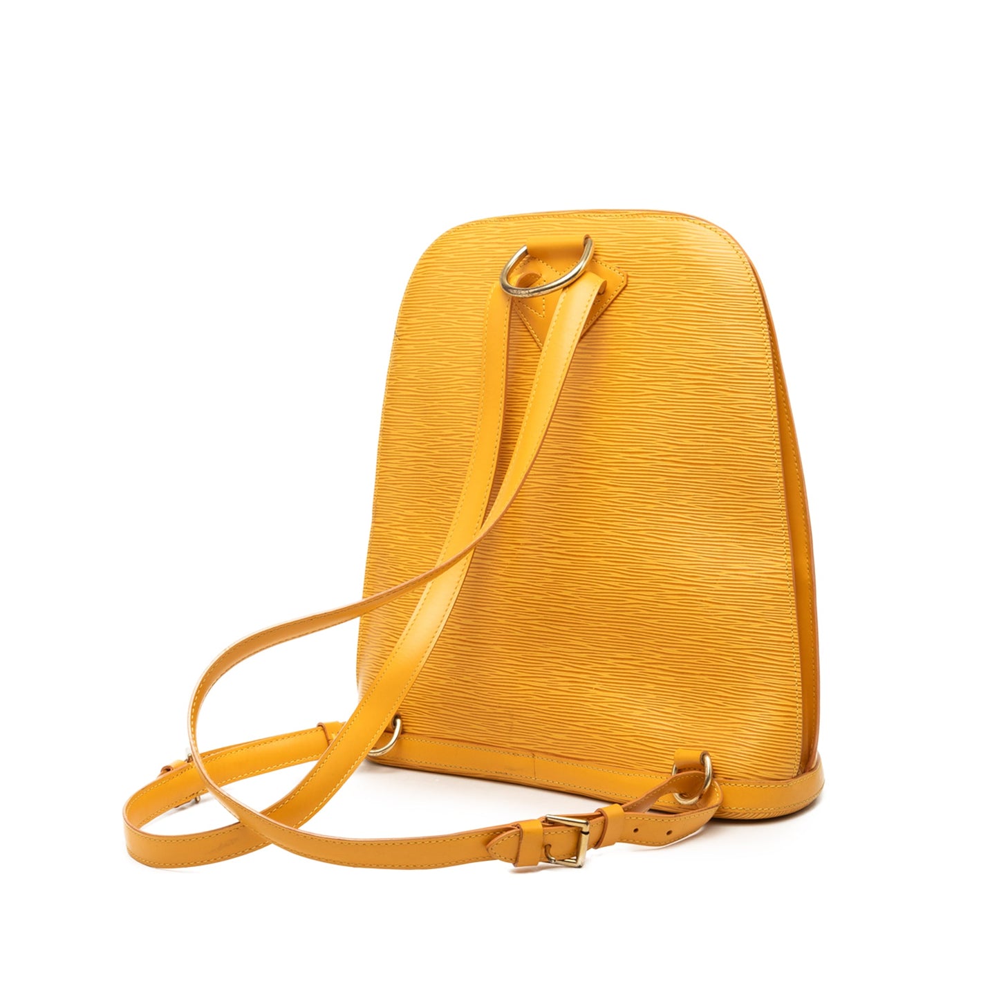 Louis Vuitton Epi Gobelins
