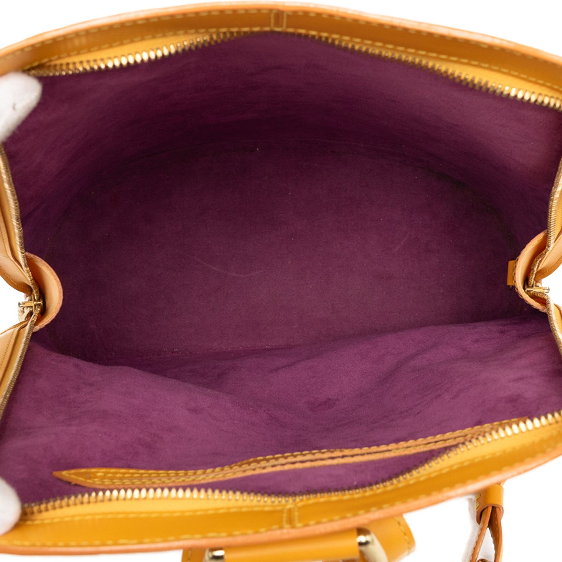 Louis Vuitton Epi Gobelins