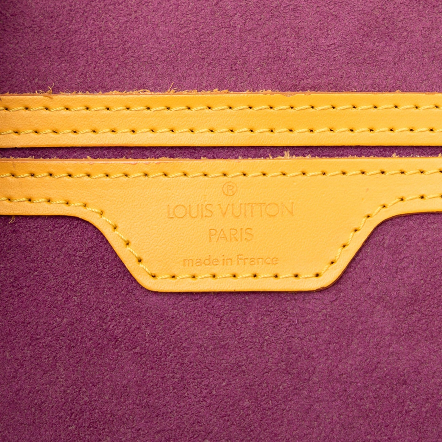 Louis Vuitton Epi Gobelins