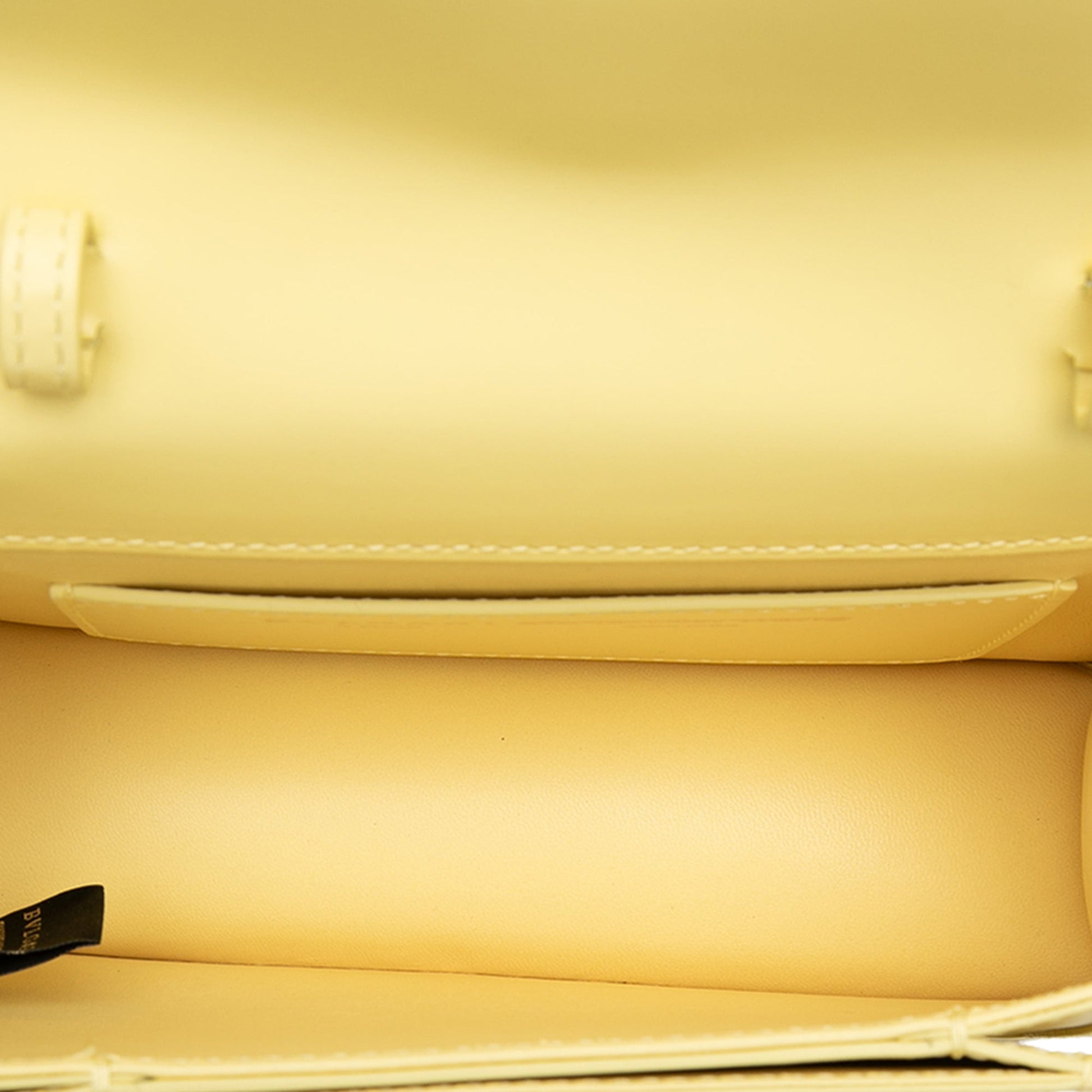 Bvlgari Alexander Wang Leather Serpenti Belt Bag