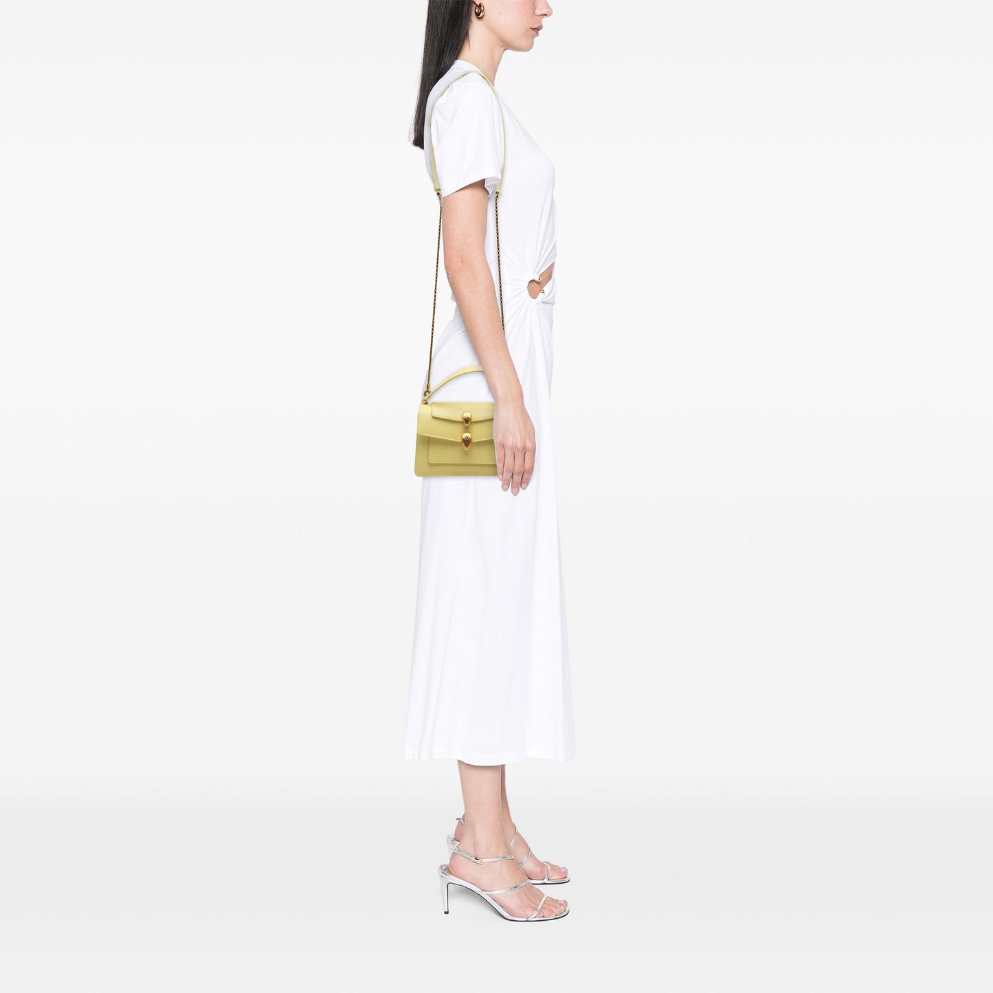 Bvlgari Alexander Wang Leather Serpenti Belt Bag