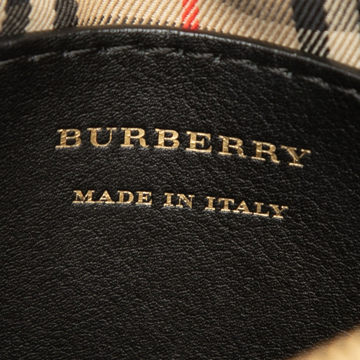Burberry Calfskin Link Camera Bag
