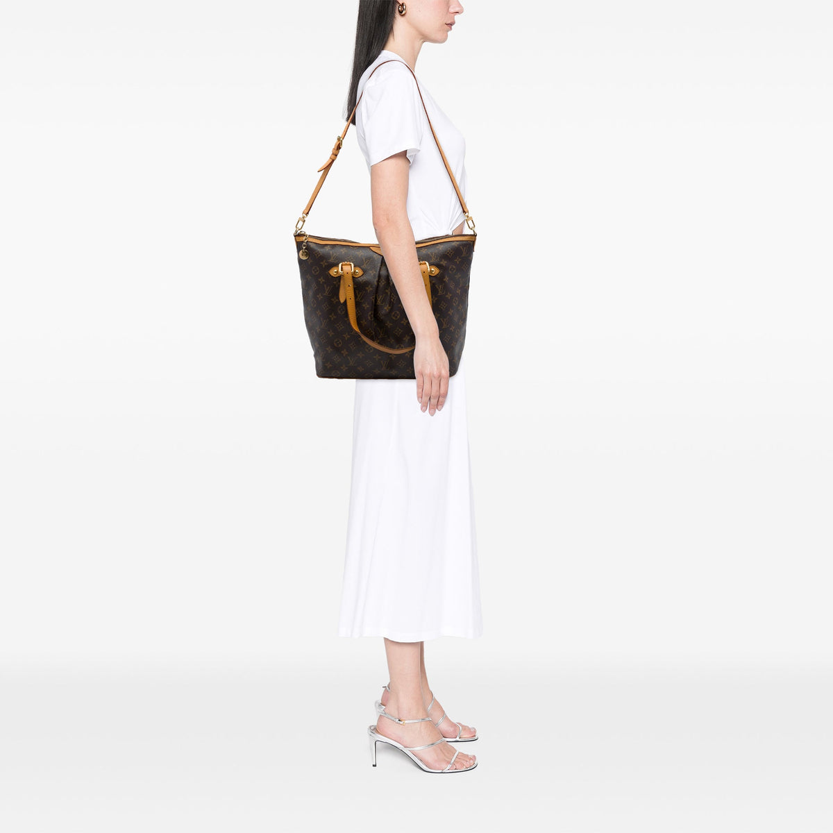 Louis Vuitton Monogram Palermo GM