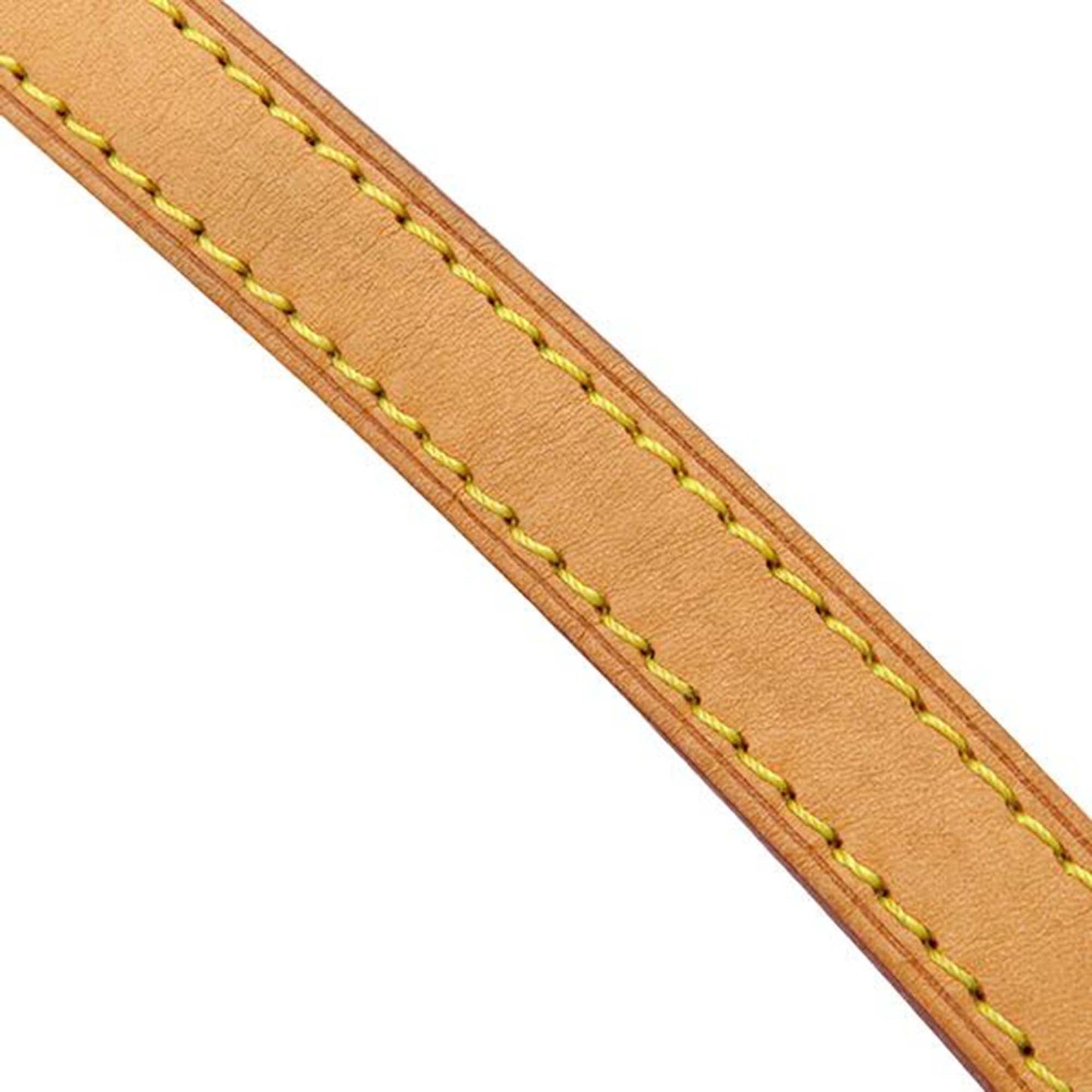 Louis Vuitton Monogram Totally MM