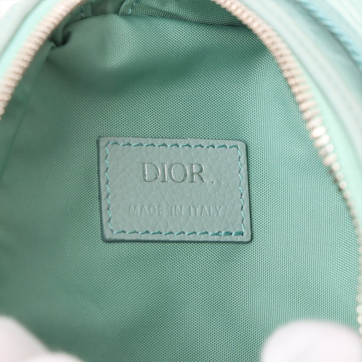 Dior Oblique Nylon Scarab Sling Bag