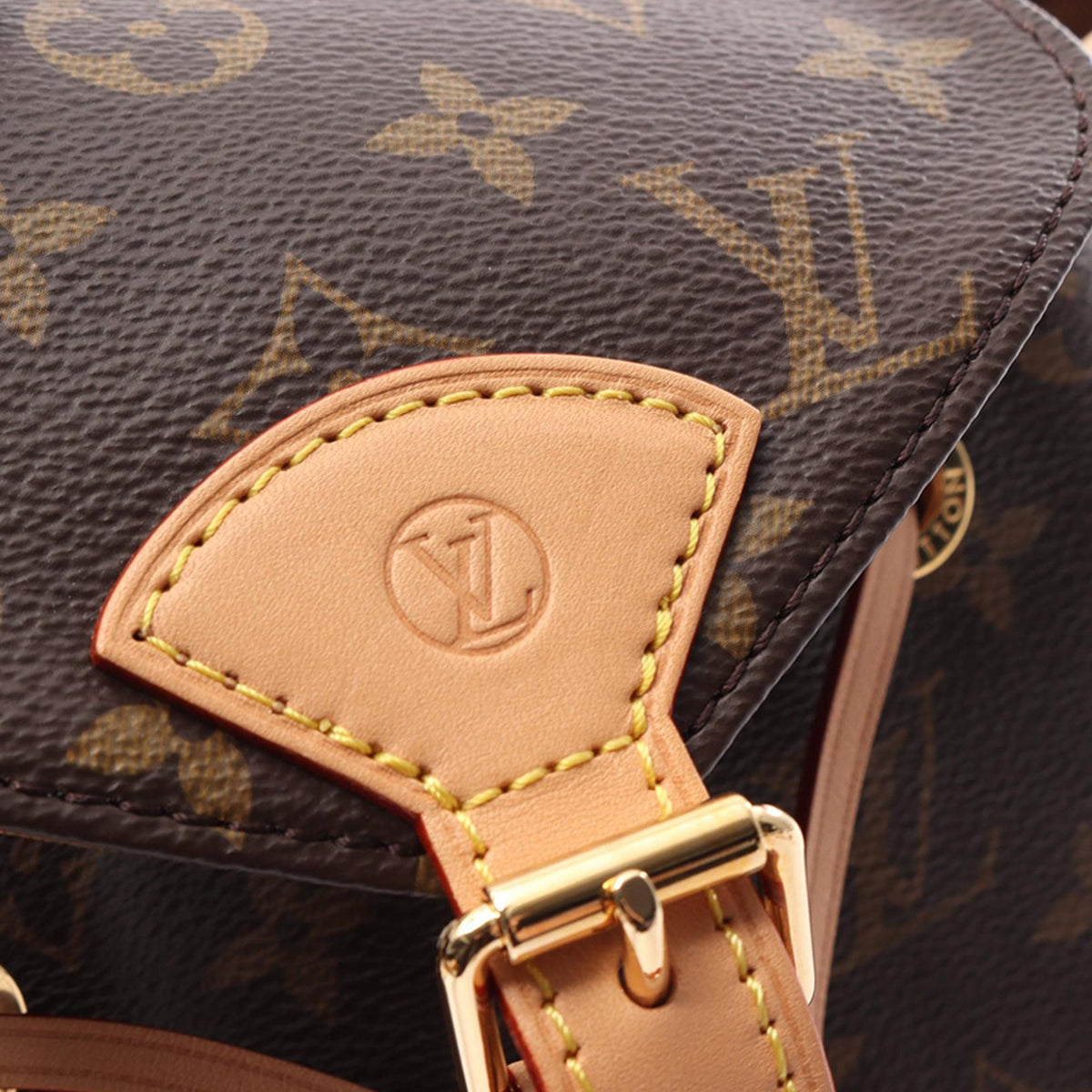 Louis Vuitton Monogram Montsouris PM