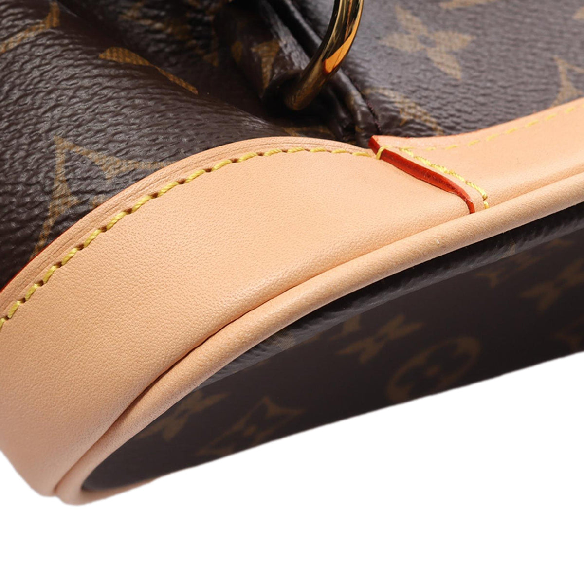 Louis Vuitton Monogram Montsouris PM