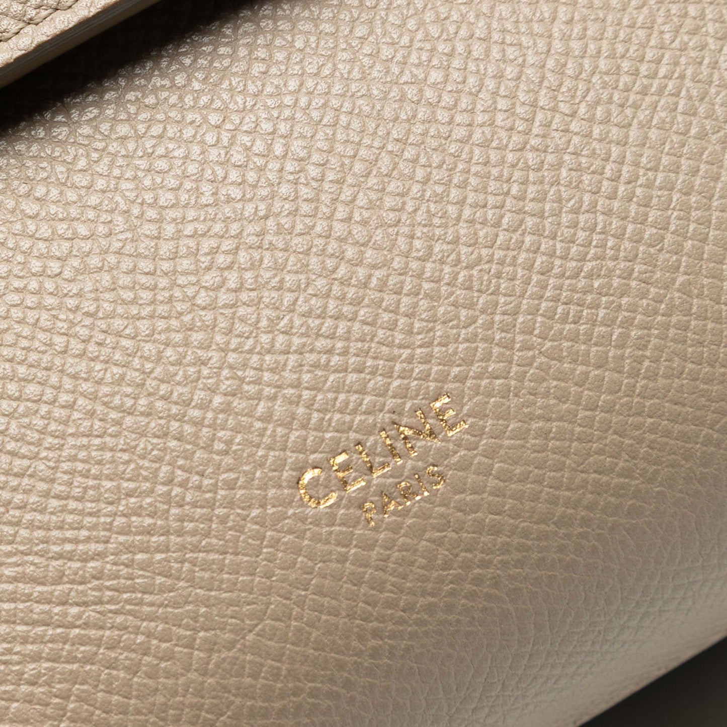 Pico Grained Calfskin Belt Bag
