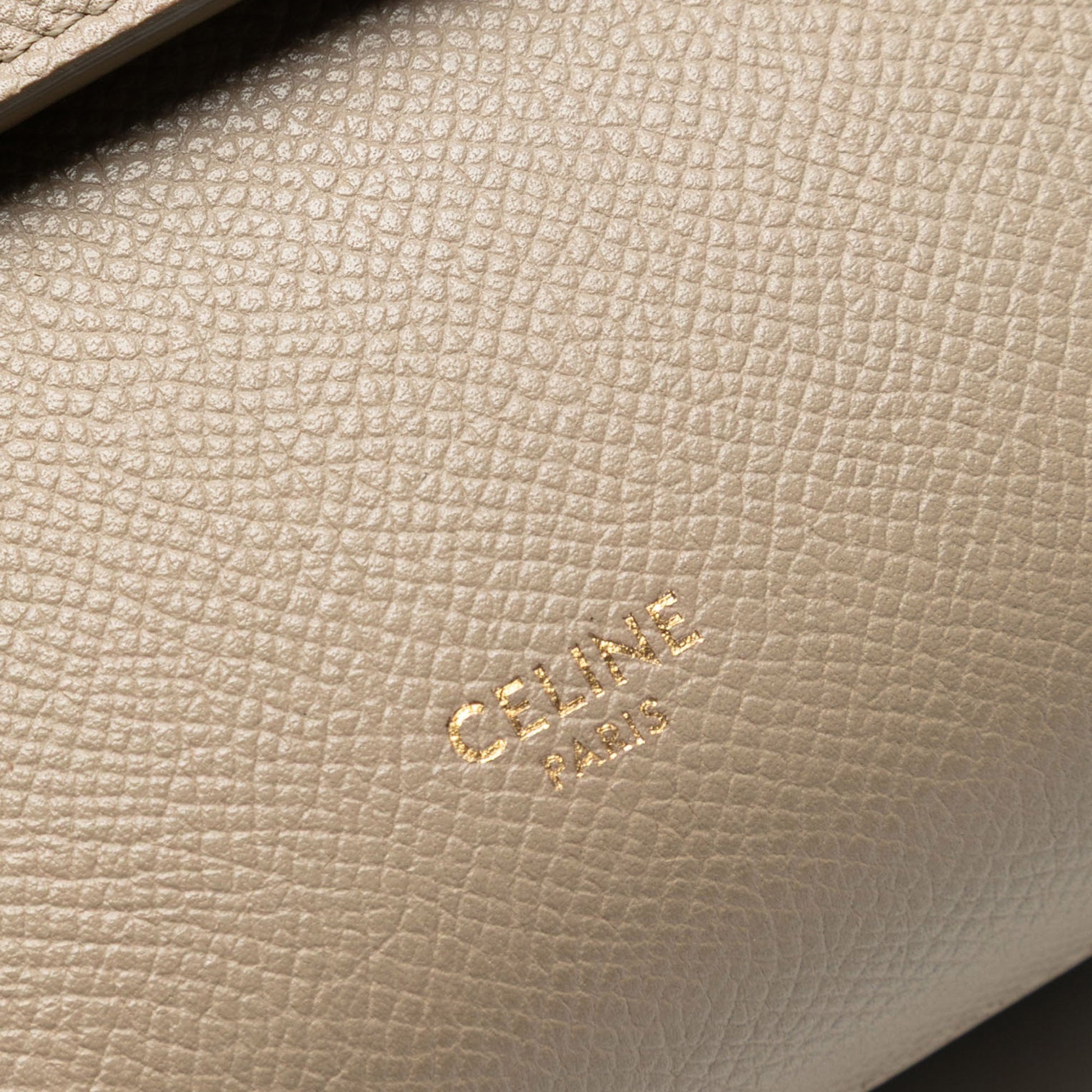 Pico Grained Calfskin Belt Bag