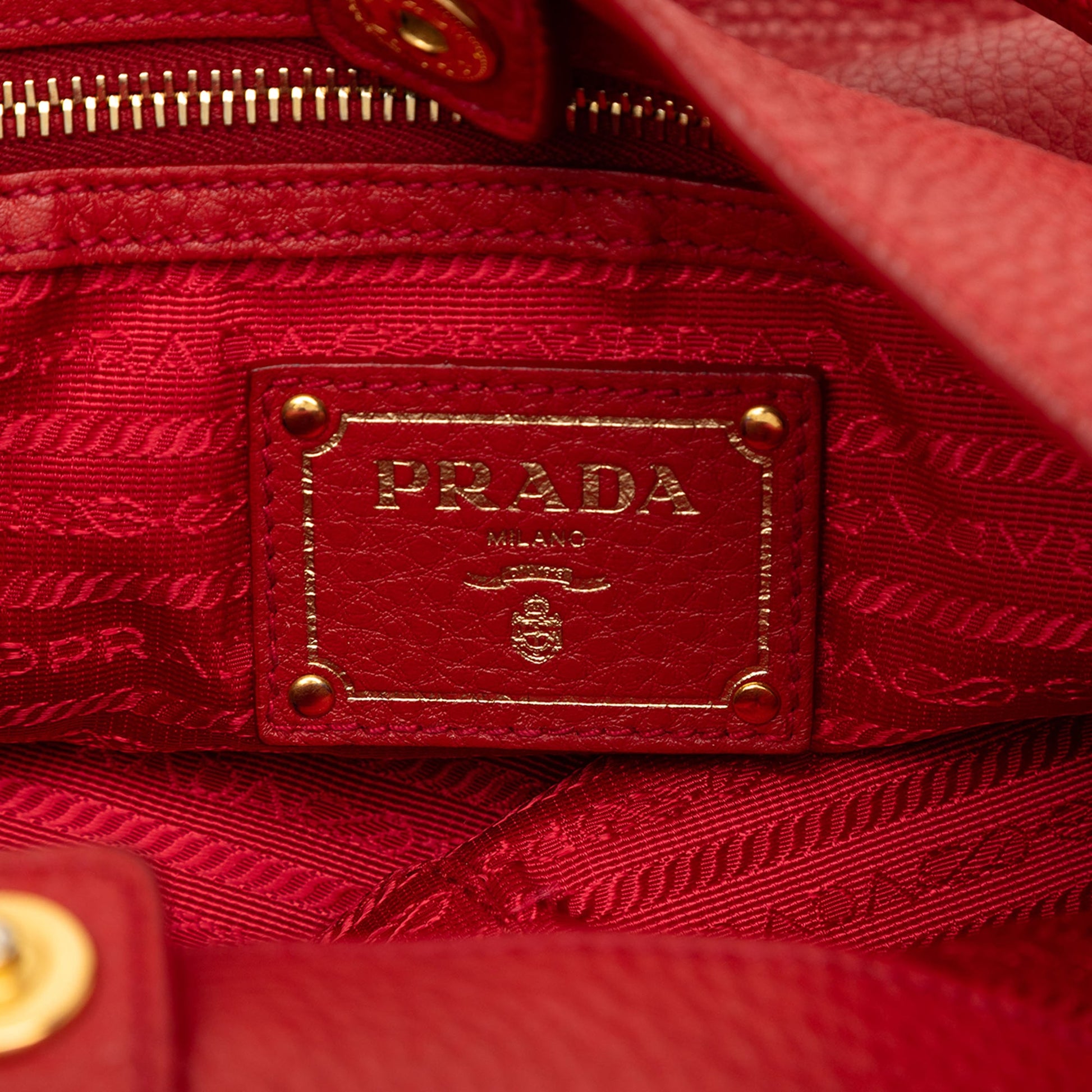 Prada Vitello Daino Hobo Bag
