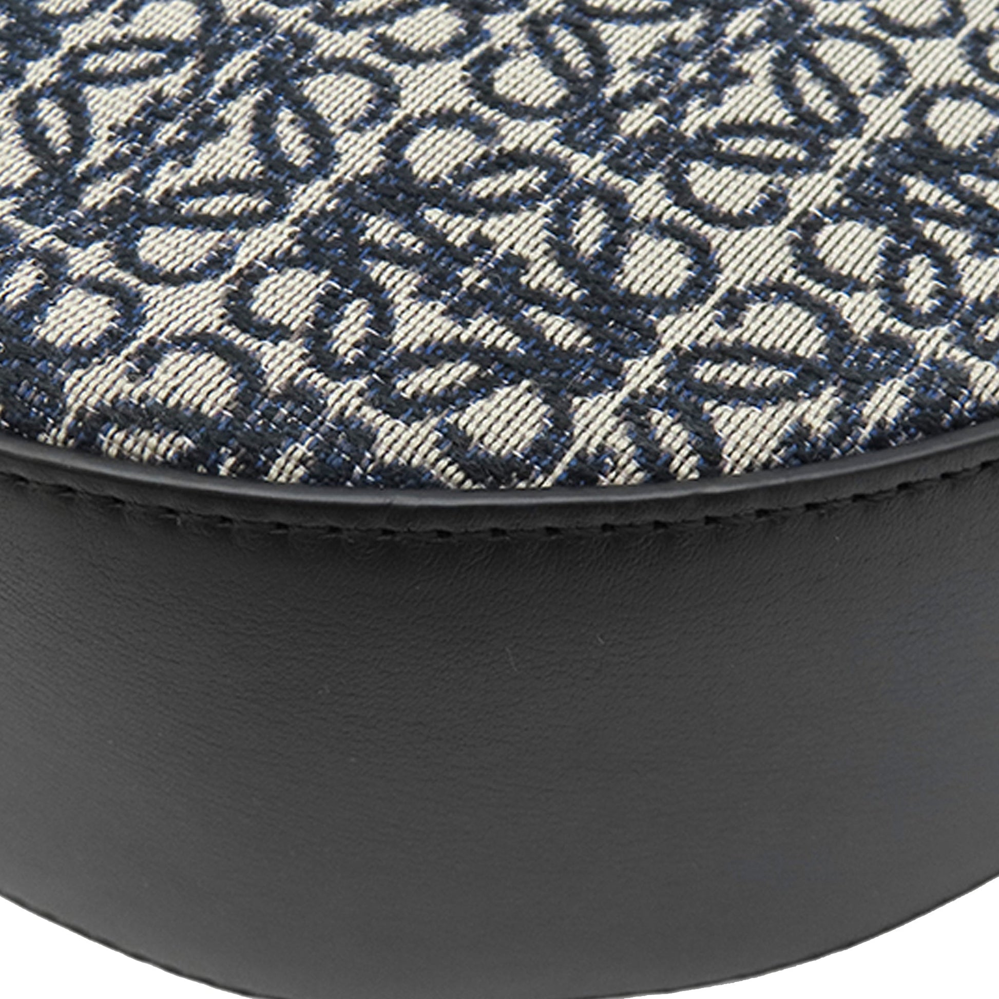 LOEWE Anagram Canvas Luna Hobo