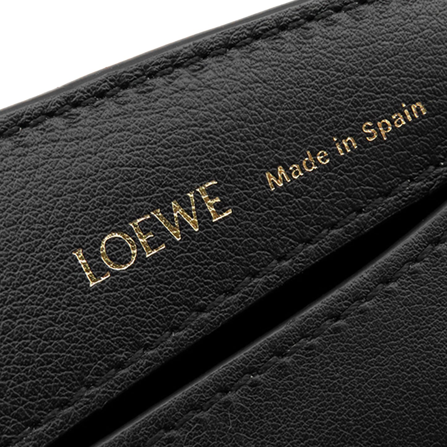 LOEWE Anagram Canvas Luna Hobo