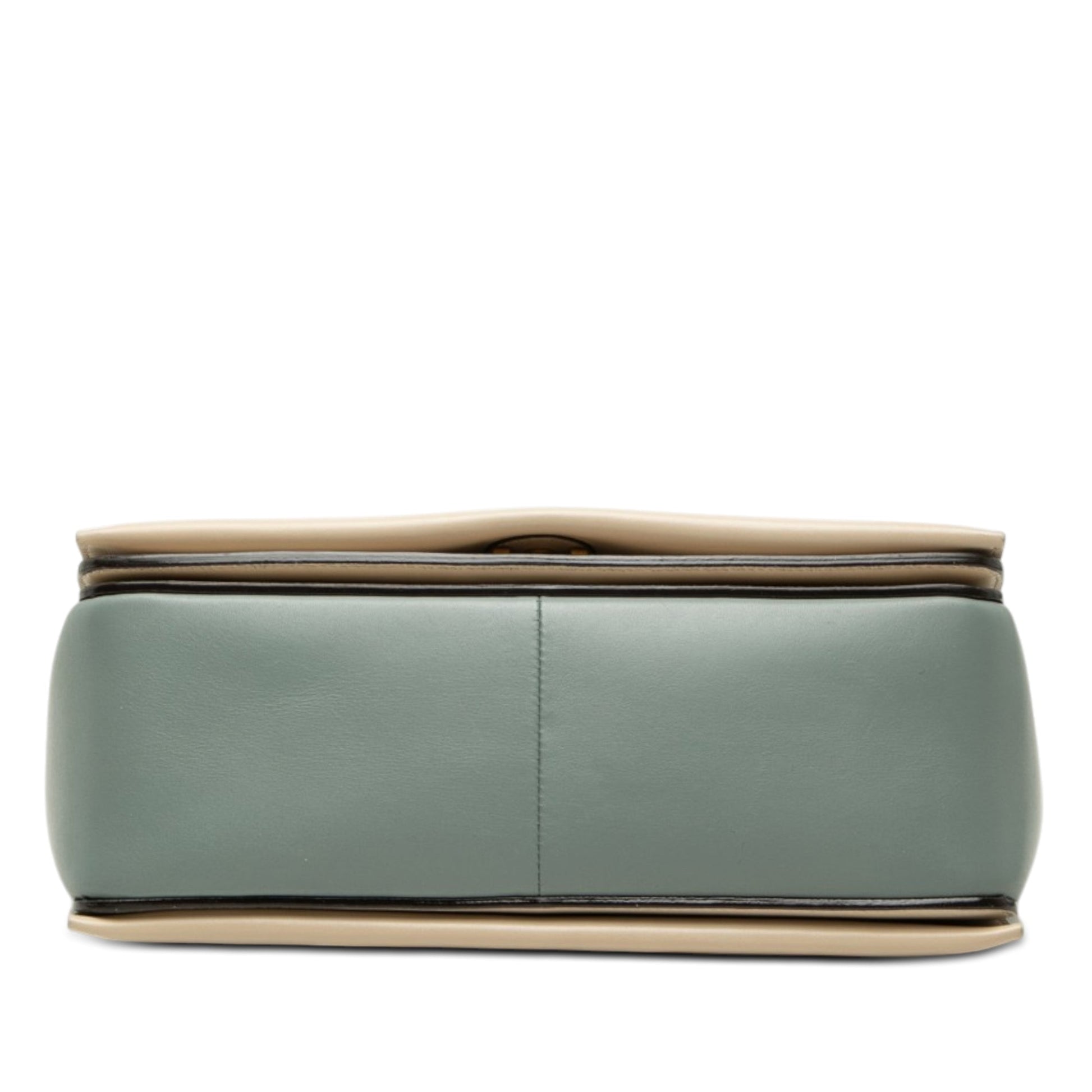 Celine Medium Shiny Smooth Calfskin Frame Shoulder Bag