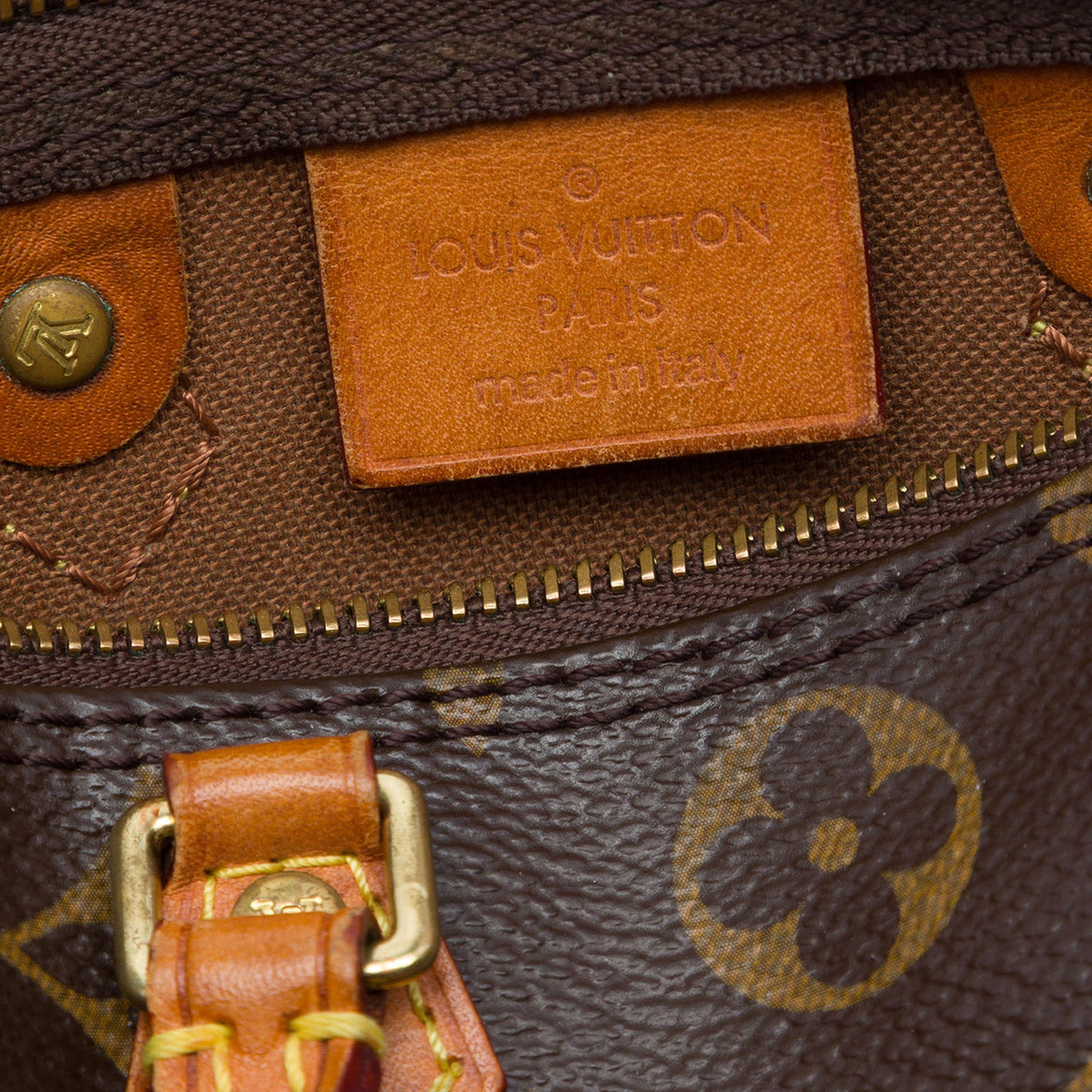 Louis Vuitton Monogram Nano Speedy Bandouliere