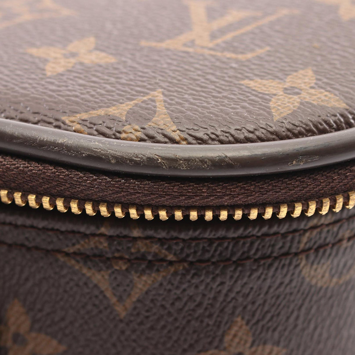Louis Vuitton Monogram Pegase 65 — Brown