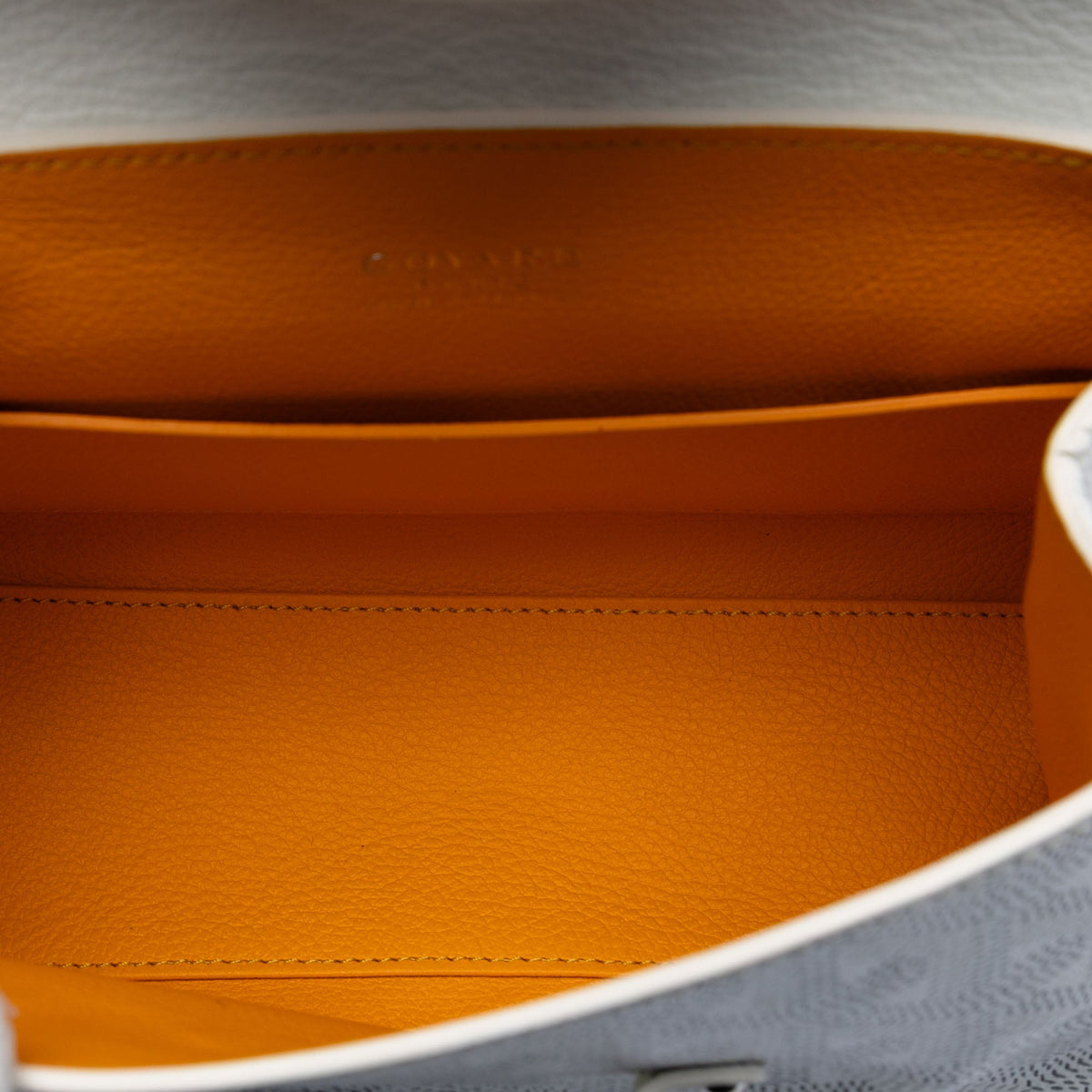 Goyard Mini Goyardine Saigon Souple