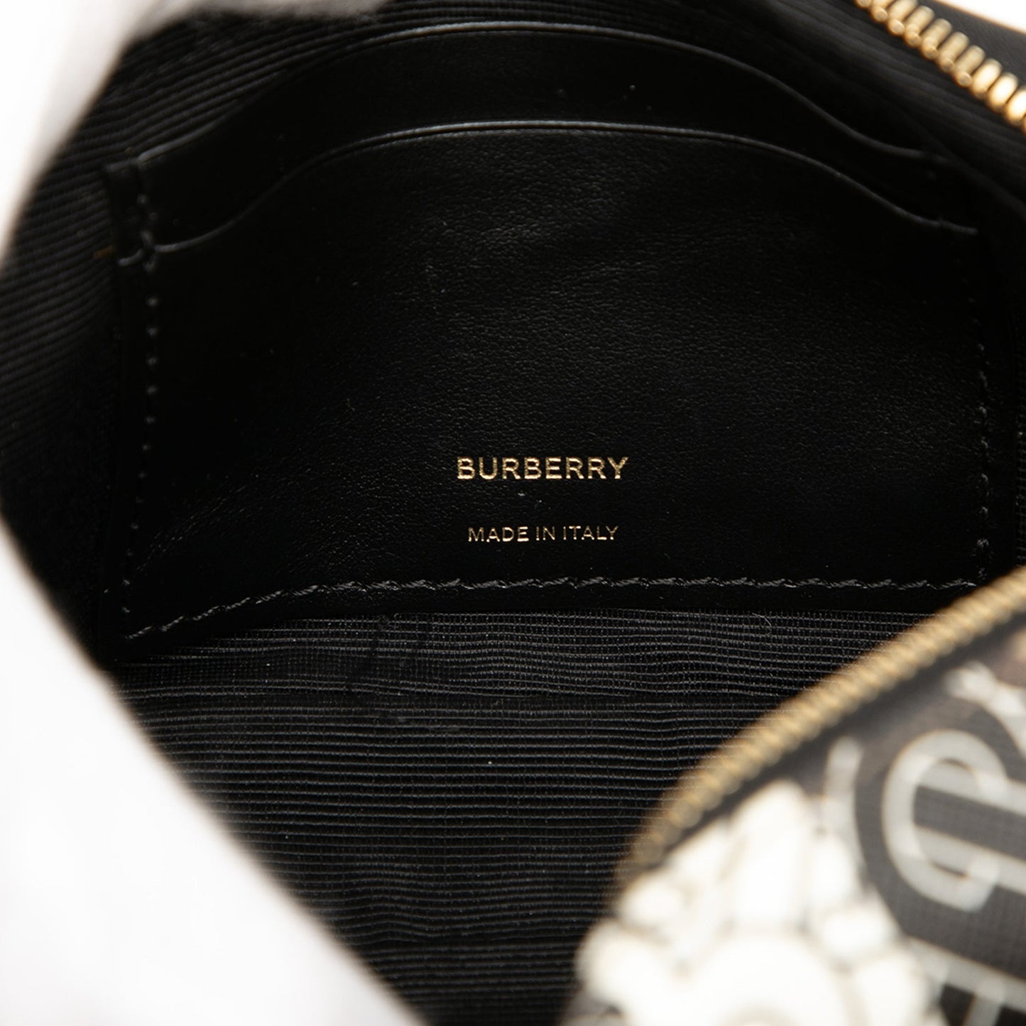 Burberry TB Monogram E-Canvas Stripe Camera Bag