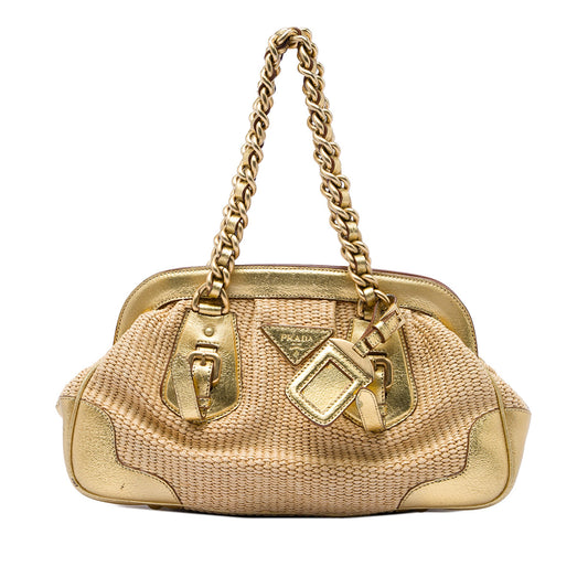 Prada Cinghiale Trimmed Paglia Shoulder Bag