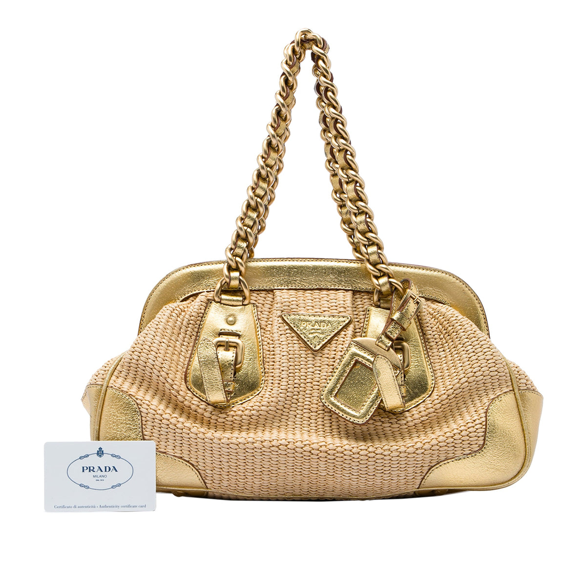Prada Cinghiale Trimmed Paglia Shoulder Bag