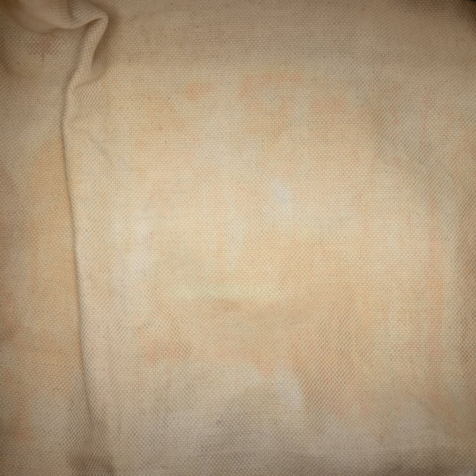 Gucci GG Canvas Web Satchel
