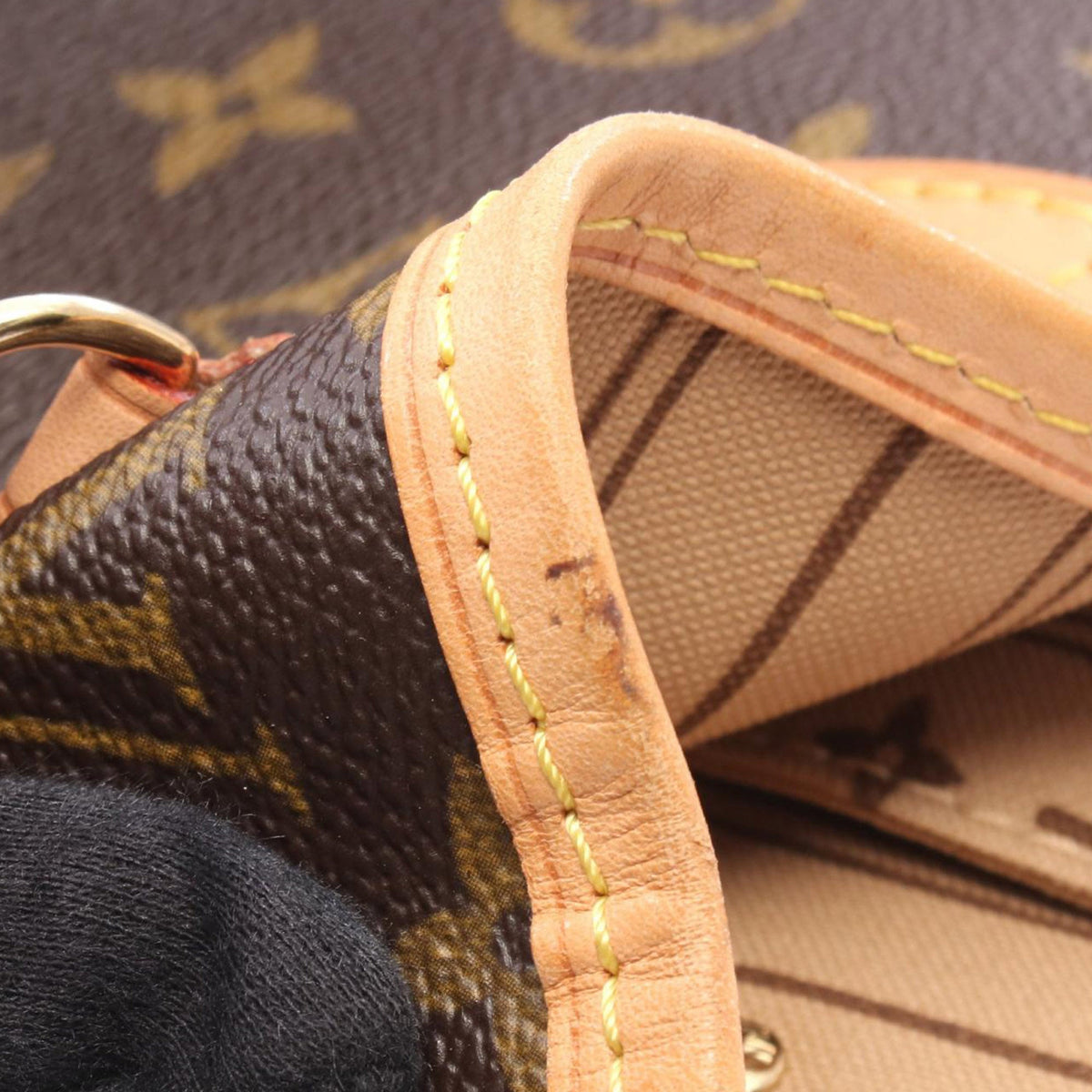 Louis Vuitton Monogram Neverfull PM