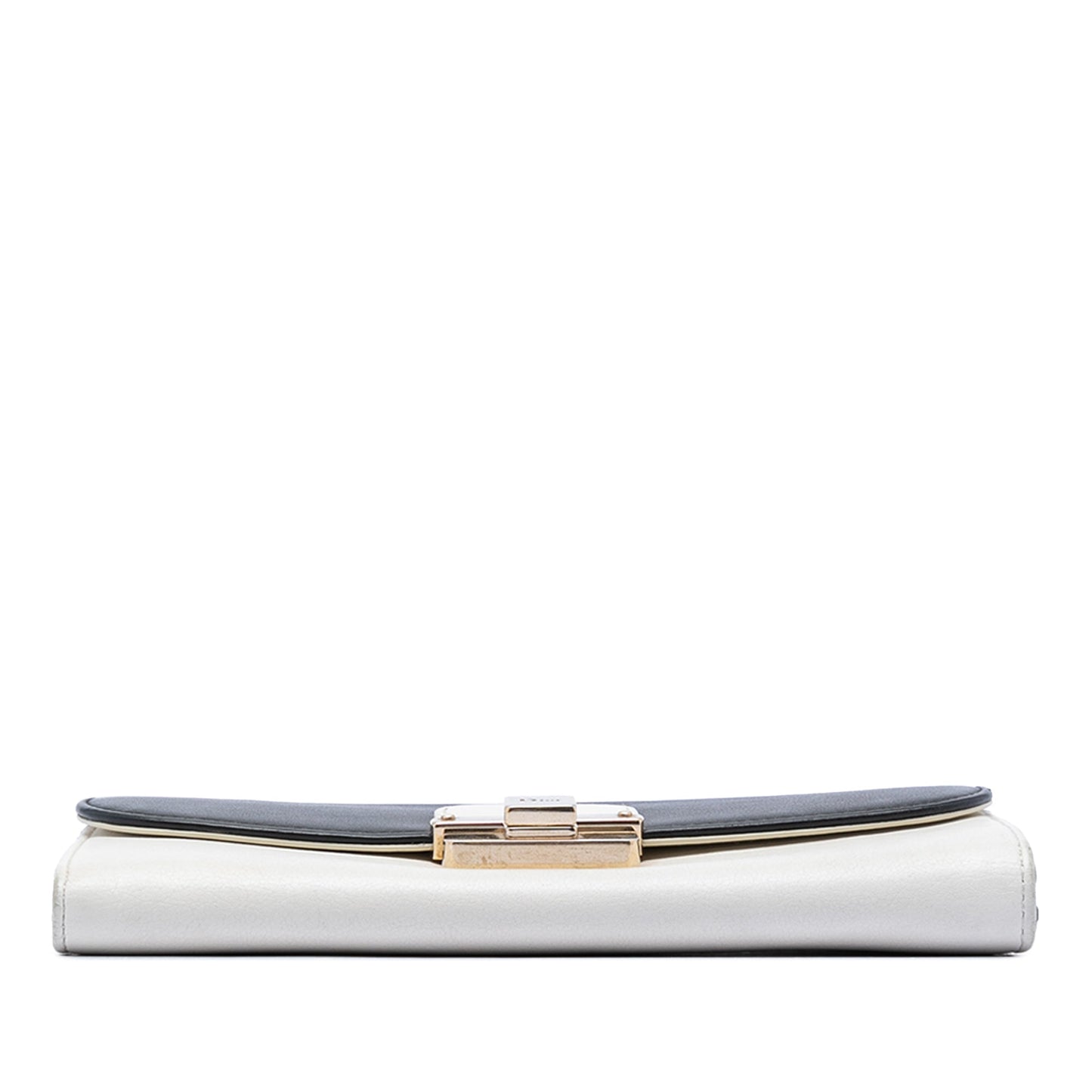 Dior Bicolor Calfskin Diorling Wallet on Chain