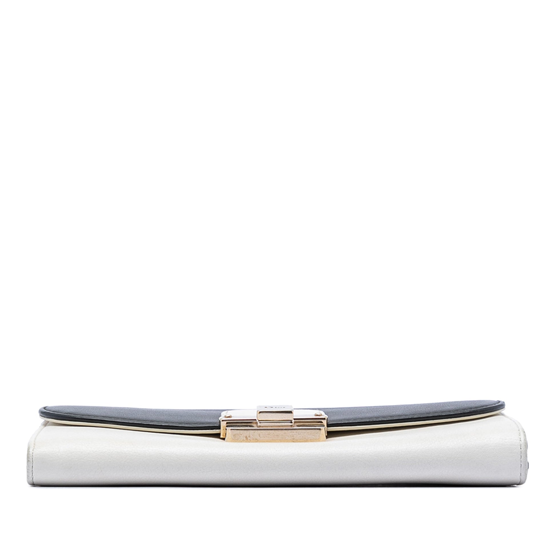 Dior Bicolor Calfskin Diorling Wallet on Chain