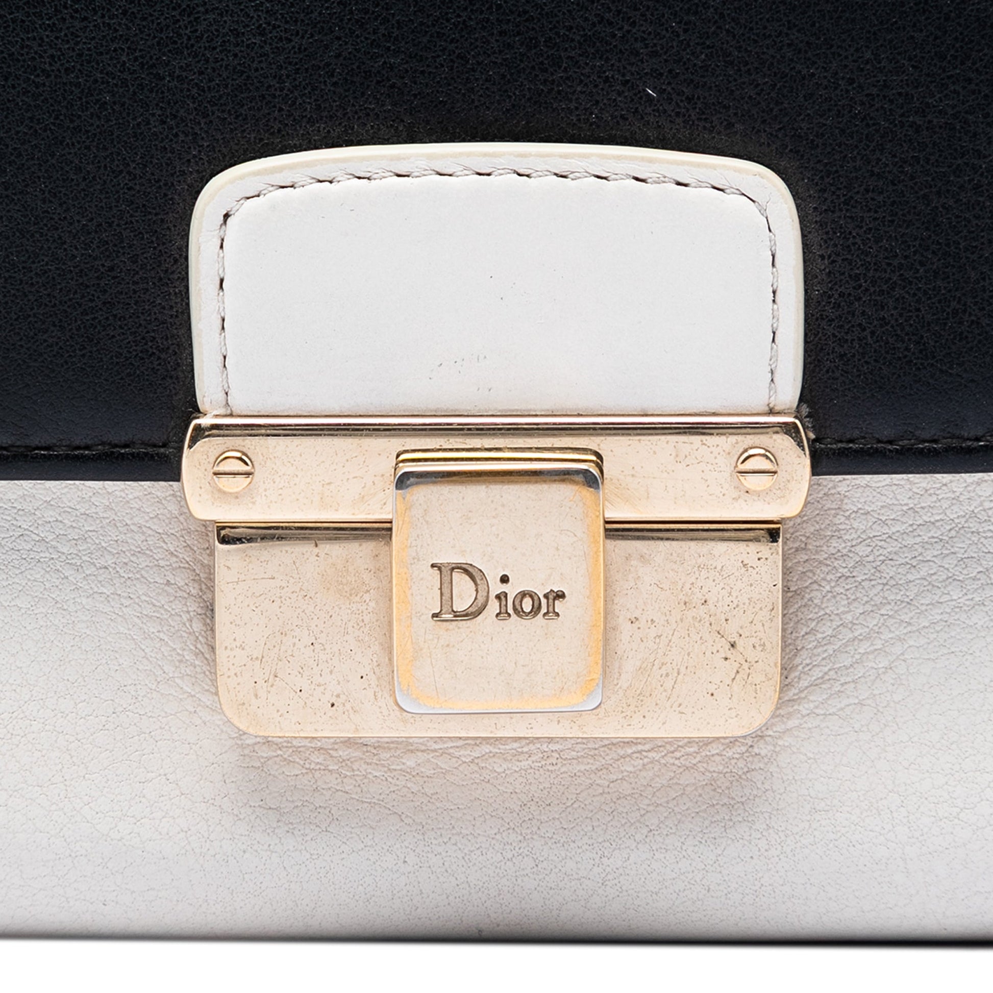 Dior Bicolor Calfskin Diorling Wallet on Chain