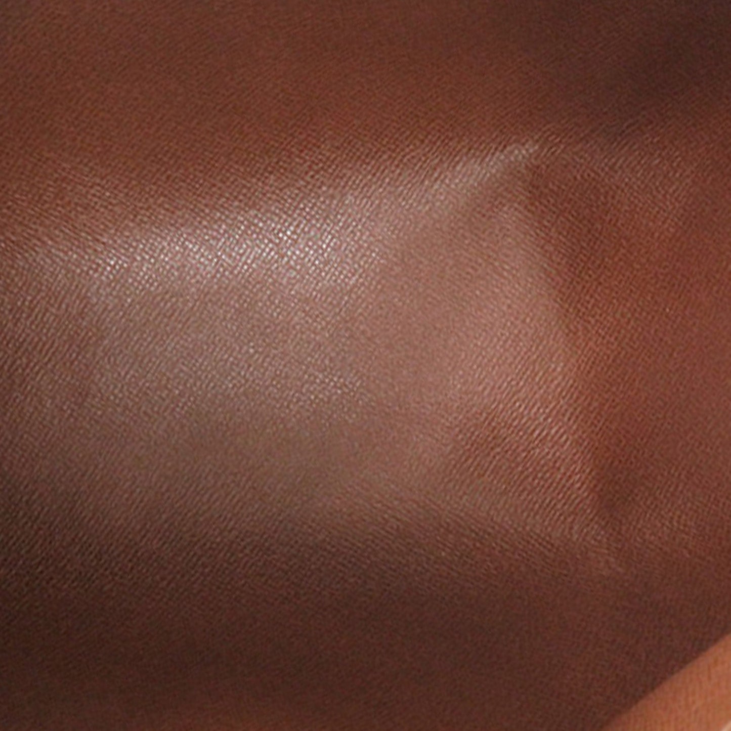 Monogram Papillon 26