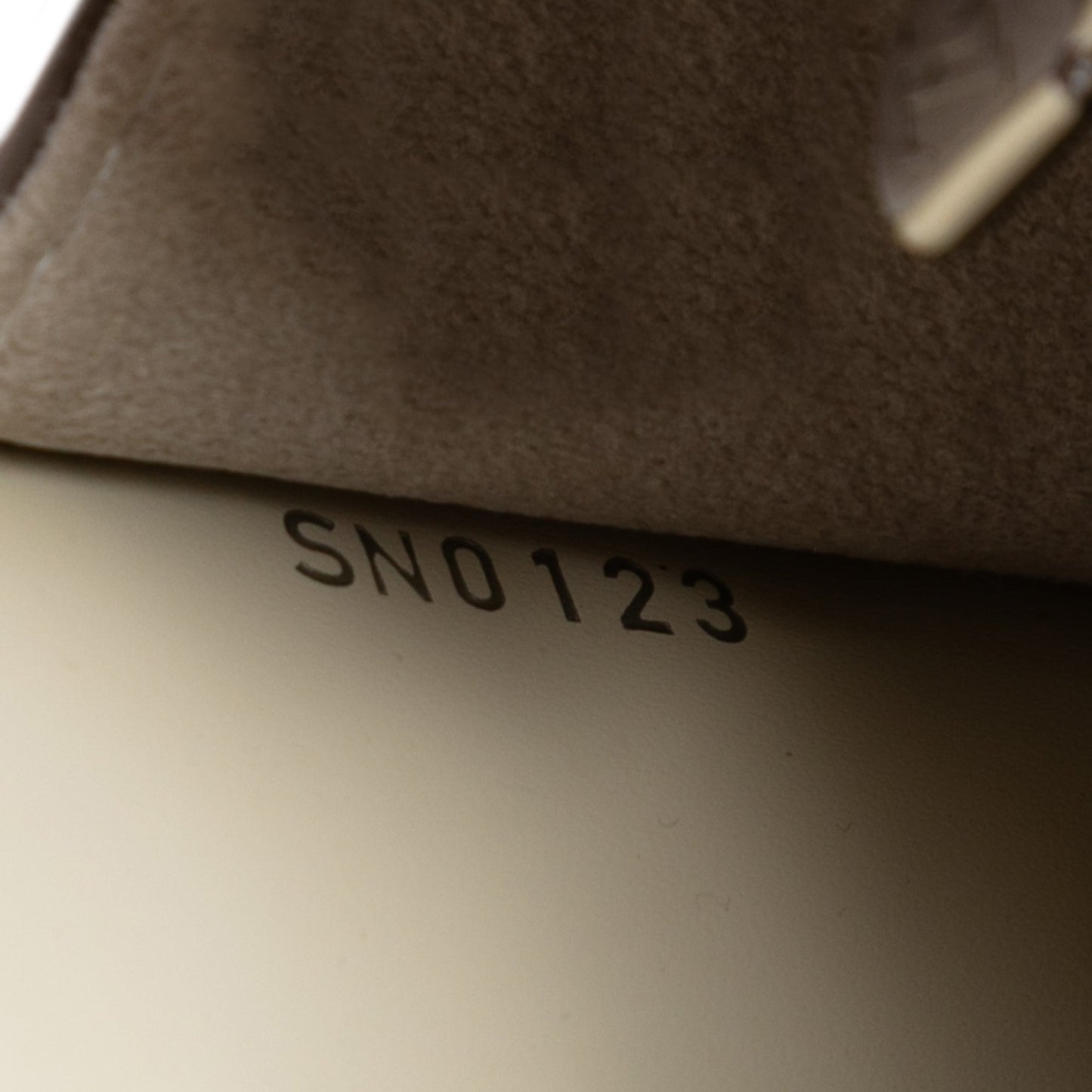 Louis Vuitton Epi Sevigne Clutch