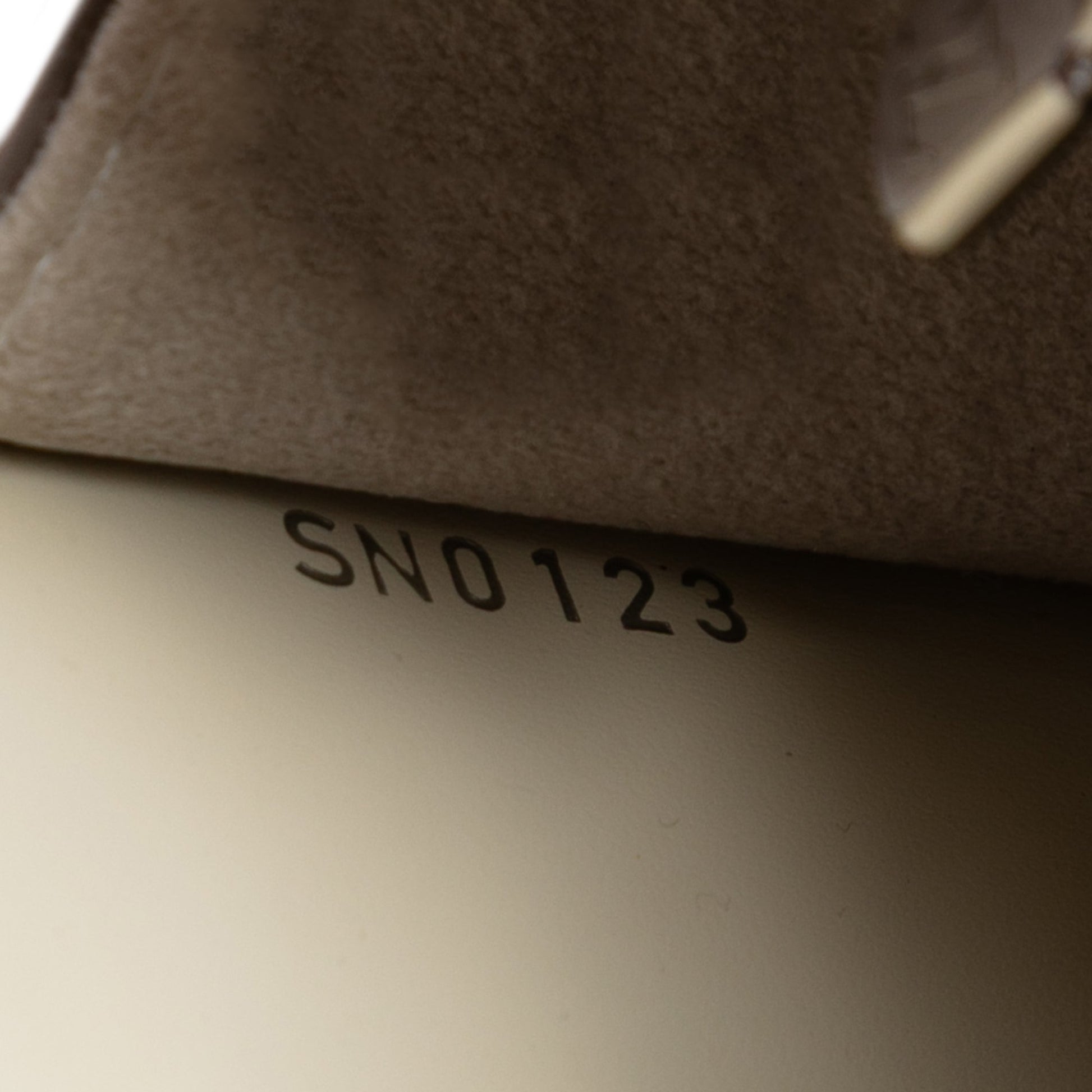 Louis Vuitton Epi Sevigne Clutch