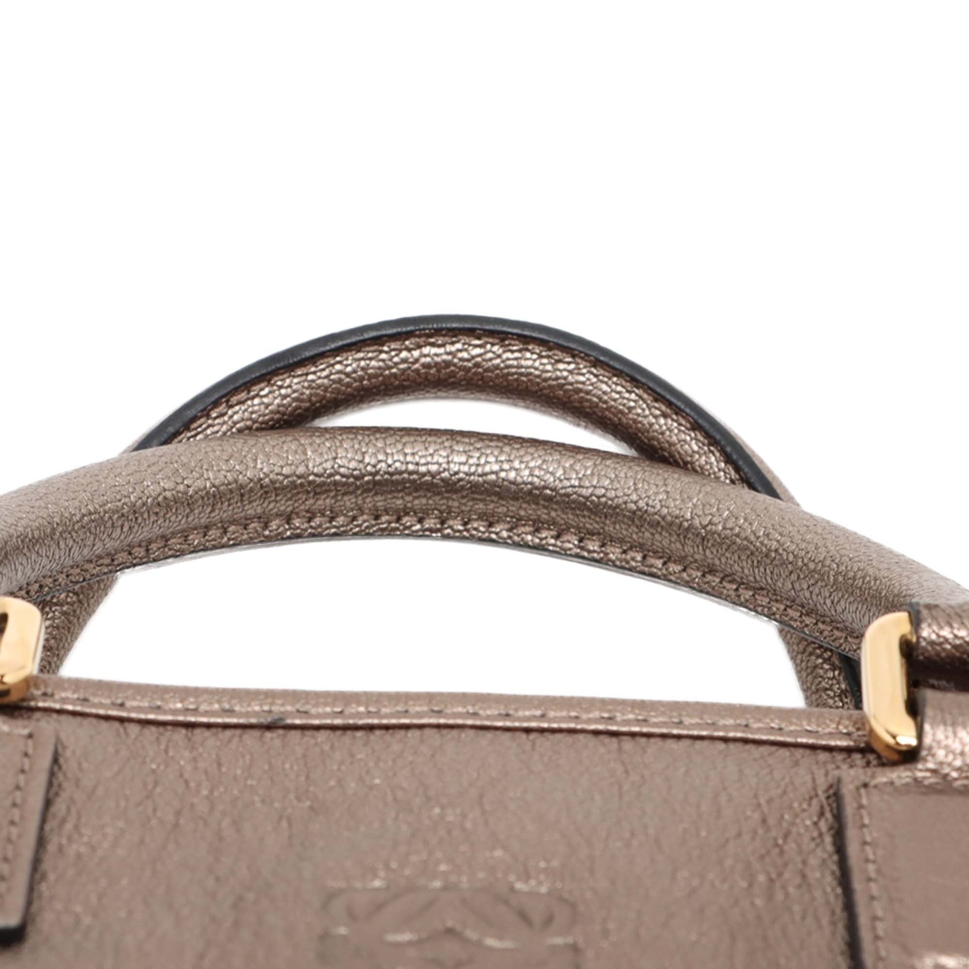 LOEWE Metallic Leather Amazona 28
