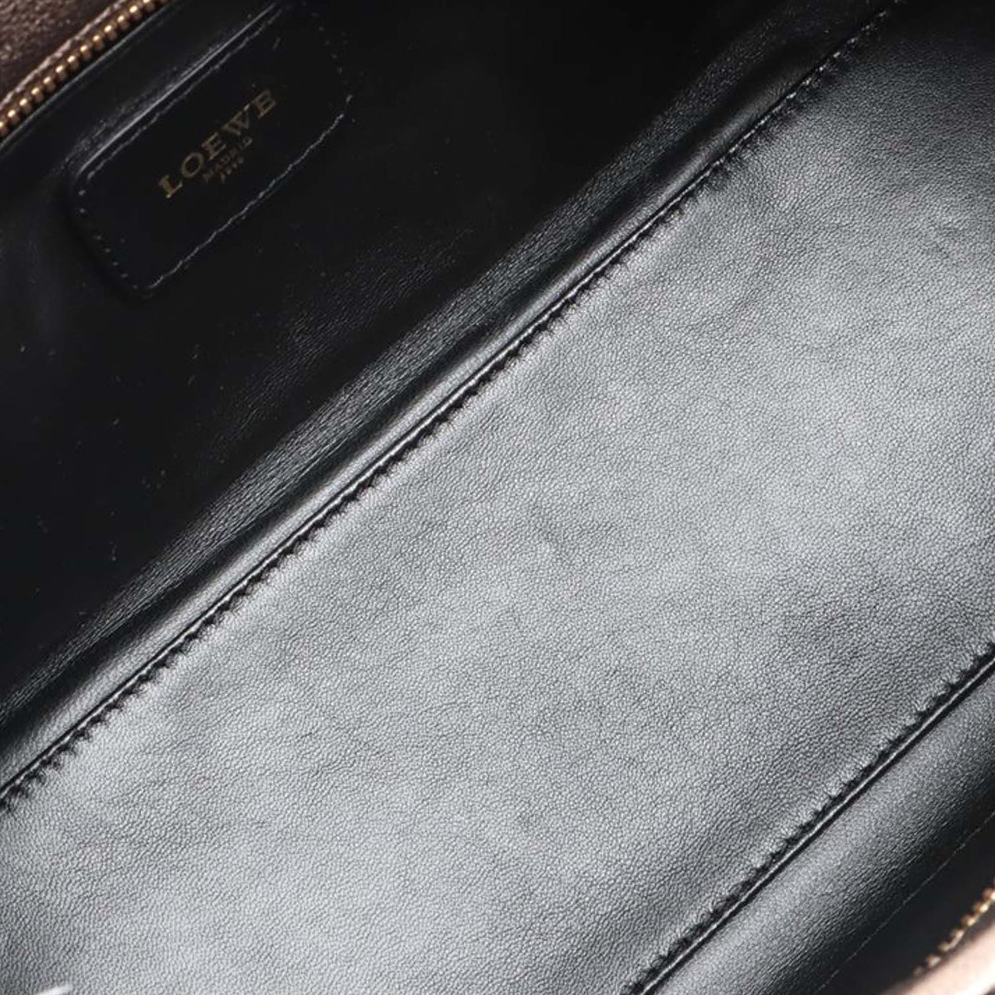 LOEWE Metallic Leather Amazona 28