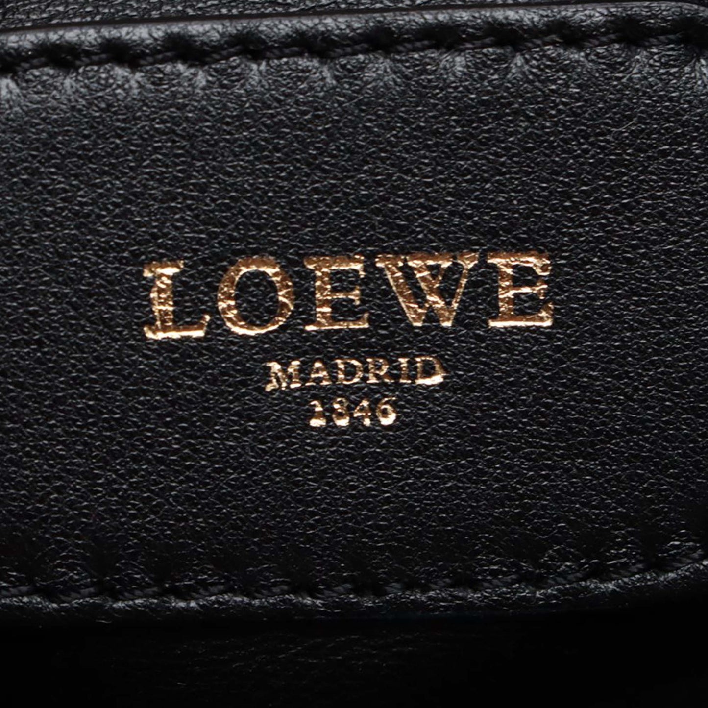LOEWE Metallic Leather Amazona 28