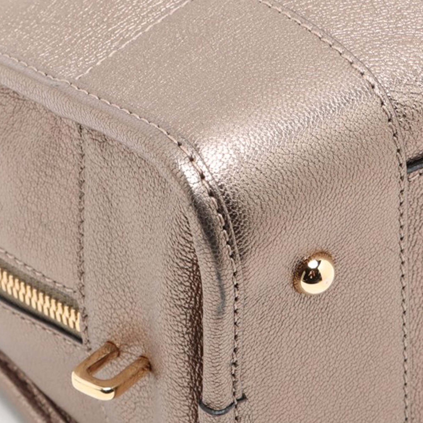 LOEWE Metallic Leather Amazona 28