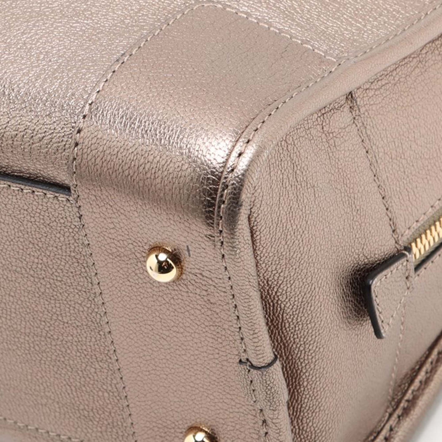 LOEWE Metallic Leather Amazona 28