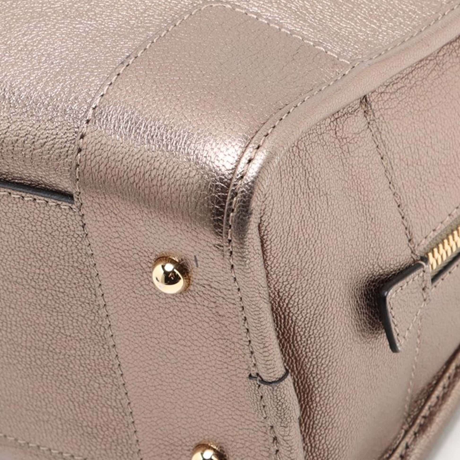 LOEWE Metallic Leather Amazona 28