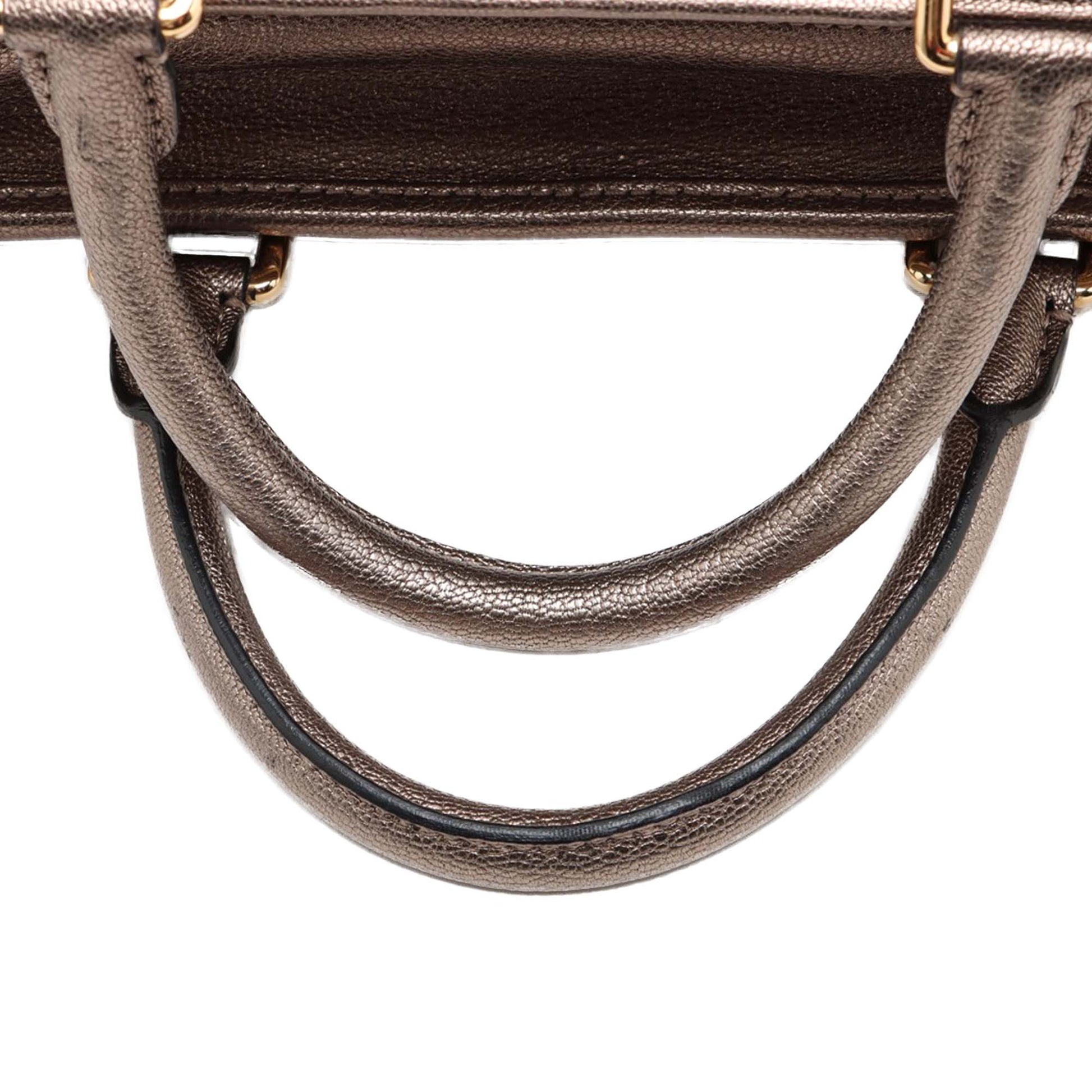 LOEWE Metallic Leather Amazona 28