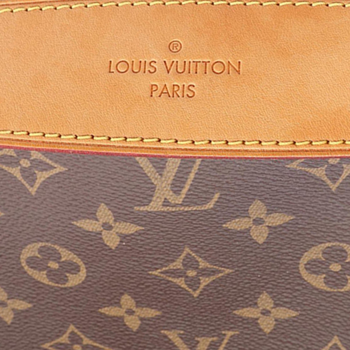 Louis Vuitton Monogram Delightful PM