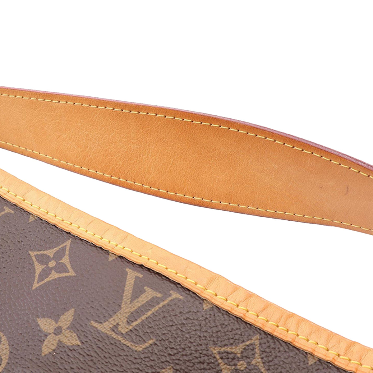Louis Vuitton Monogram Delightful PM
