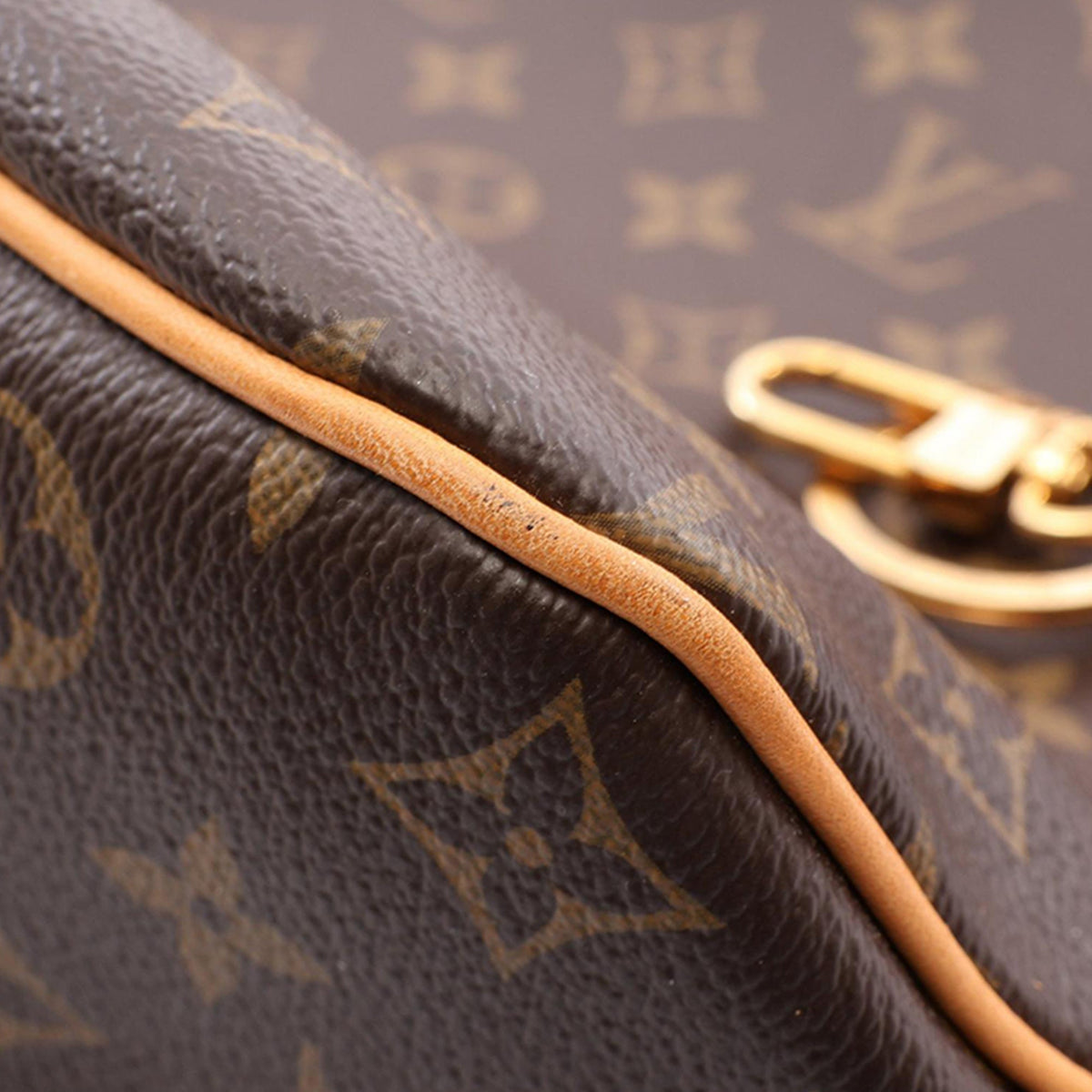 Louis Vuitton Monogram Delightful PM