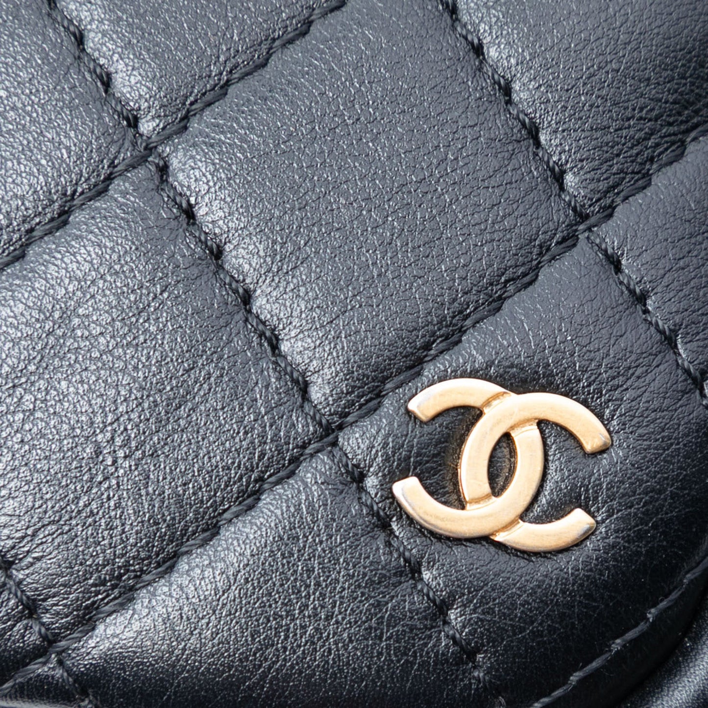 Chanel Small Quilted Lambskin Buckle Camera Bag