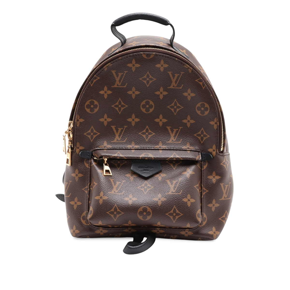 Louis Vuitton Monogram Palm Springs PM
