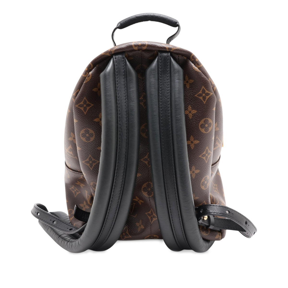 Louis Vuitton Monogram Palm Springs PM