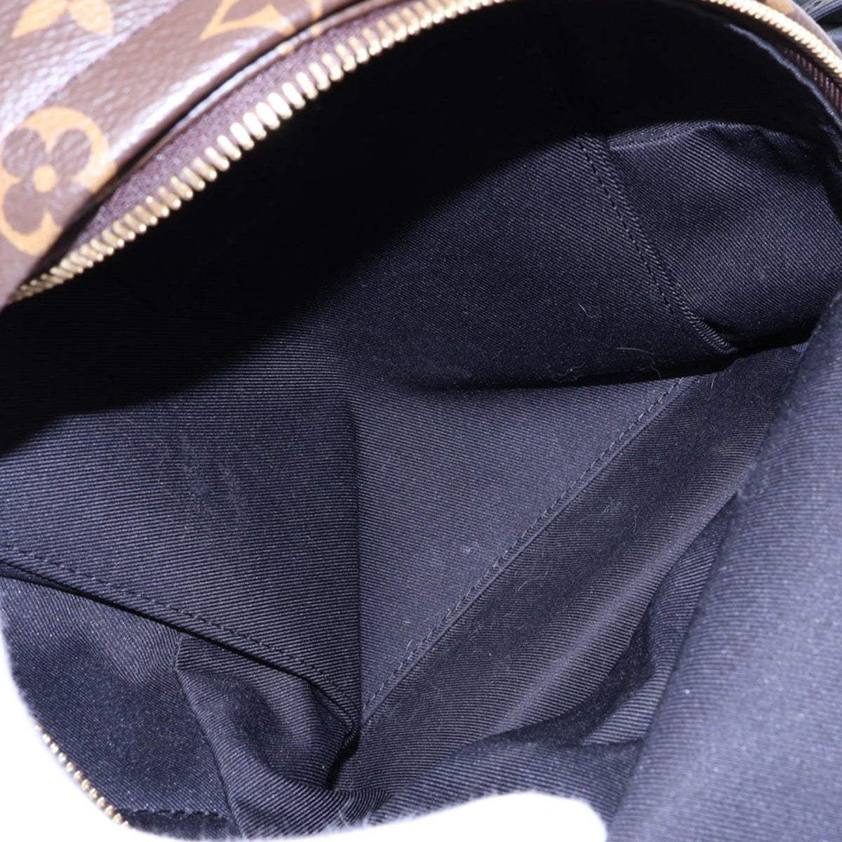 Louis Vuitton Monogram Palm Springs PM
