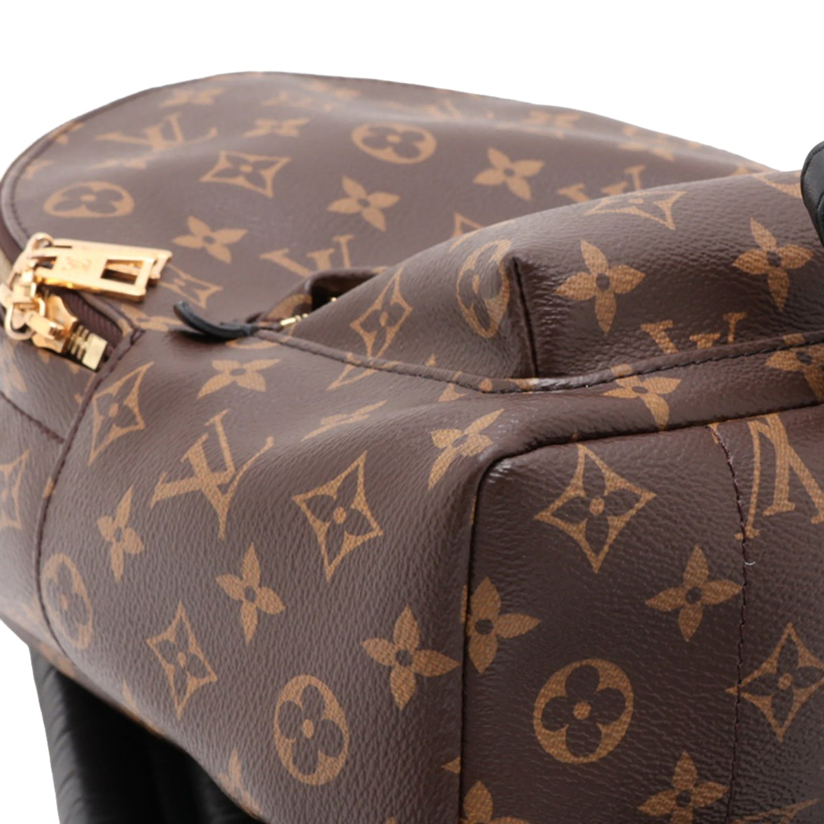 Louis Vuitton Monogram Palm Springs PM