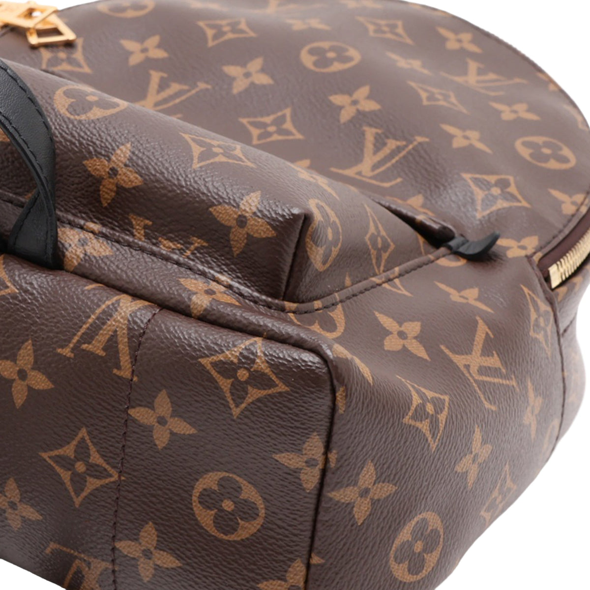 Louis Vuitton Monogram Palm Springs PM