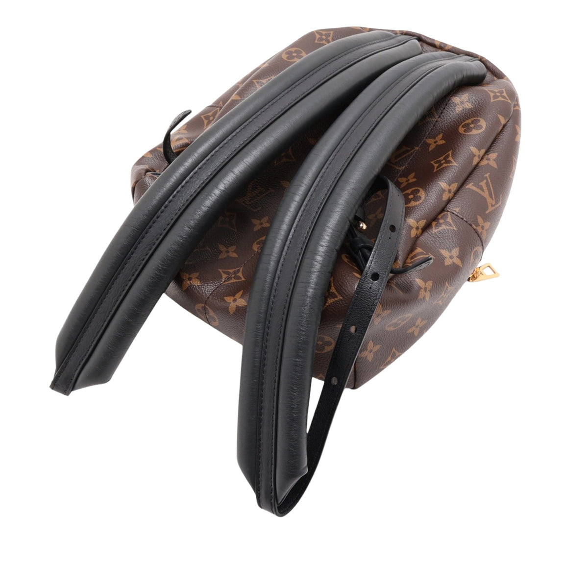 Louis Vuitton Monogram Palm Springs PM