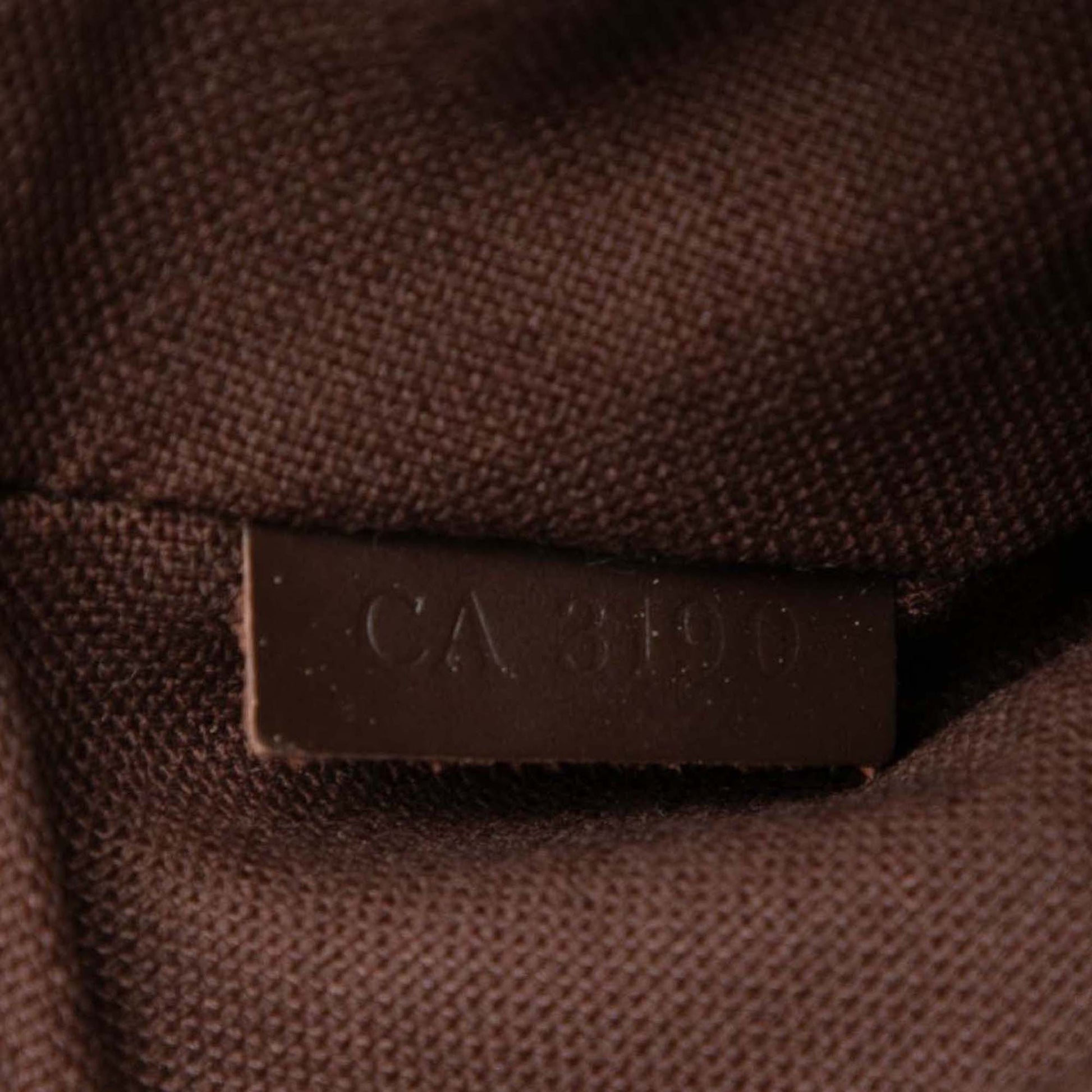 Louis Vuitton Damier Ebene Brooklyn Bum Bag